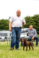 South_Notts_Open_Day_Terriers_5th_July_2015_005