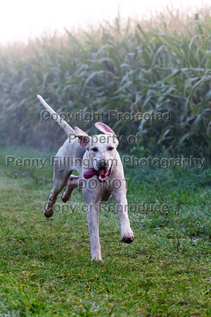 Grove_and_Rufford_Sturton le Steeple_22nd_Sept_2015_008