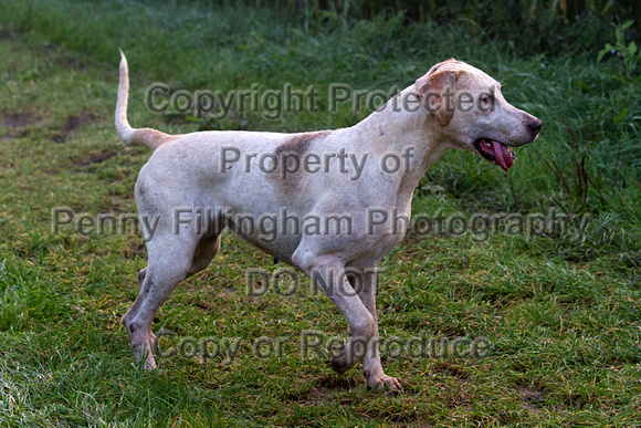 Grove_and_Rufford_Sturton le Steeple_22nd_Sept_2015_007
