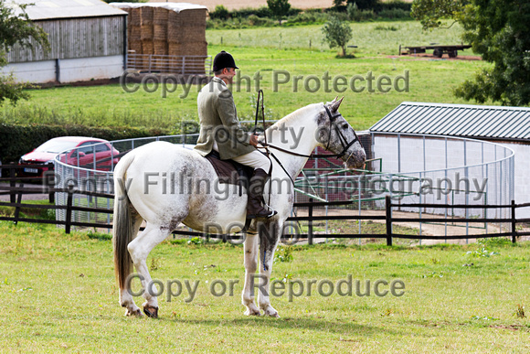 South_Notts_Mounted_Exercise_Kennels_22nd_August_2015_014