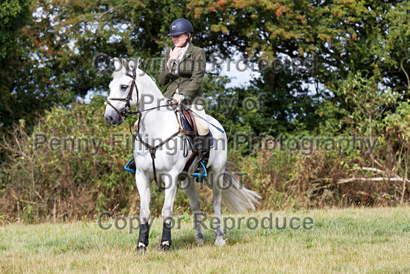 South_Notts_Mounted_Exercise_Kennels_22nd_August_2015_007