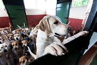 South_Notts_Kennels_8th_May_2014.007