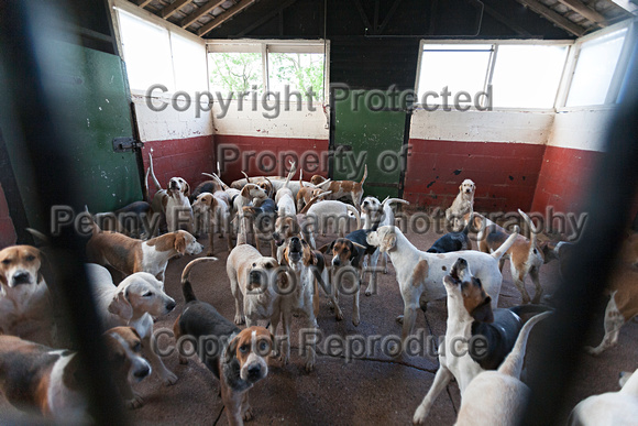 South_Notts_Kennels_8th_May_2014.002