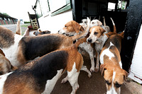 South_Notts_Kennels_8th_May_2014.013