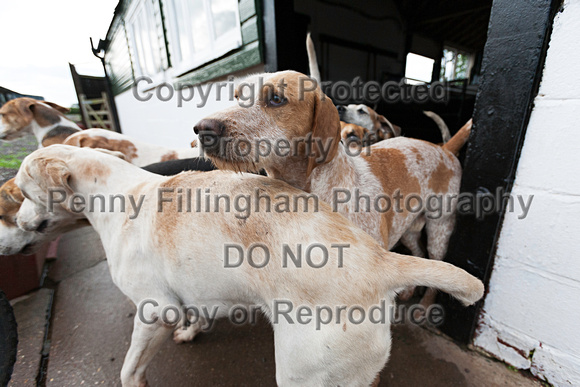 South_Notts_Kennels_8th_May_2014.011