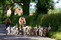 South Notts Hound Exercise (8th June 2014)