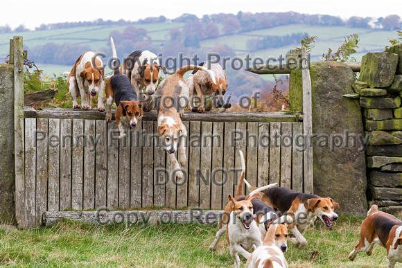 South_Notts_Alderwasley_3rd_Nov_2016_101