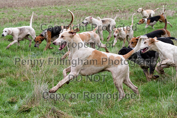 Grove_and_Rufford_Saunby_16th_Jan_2016_111