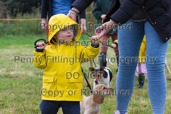 Grove_and_Rufford_Show_Misc_19th_July_2014.017
