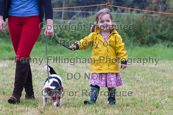Grove_and_Rufford_Show_Misc_19th_July_2014.015