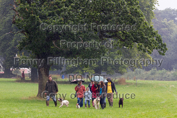 Grove_and_Rufford_Show_Misc_19th_July_2014.002