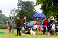 Grove_and_Rufford_Show_Misc_19th_July_2014.003