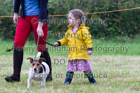 Grove_and_Rufford_Show_Misc_19th_July_2014.014