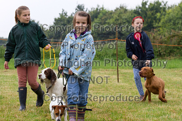 Grove_and_Rufford_Show_Misc_19th_July_2014.006