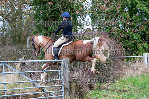 Grove_and_Rufford_Leyfields_2nd_Jan_2019_219
