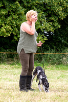 Grove_and_Rufford_Terrier_and_Lurcher_Show_16th_July_2016_011
