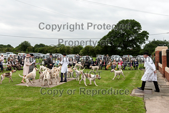 Grove_and_Rufford_Puppy_Show_18th_June_2016_129