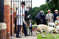Grove_and_Rufford_Puppy_Show_18th_June_2016_016