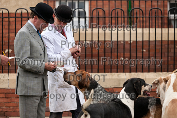 Grove_and_Rufford_Puppy_Show_18th_June_2016_241