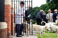 Grove_and_Rufford_Puppy_Show_18th_June_2016_015