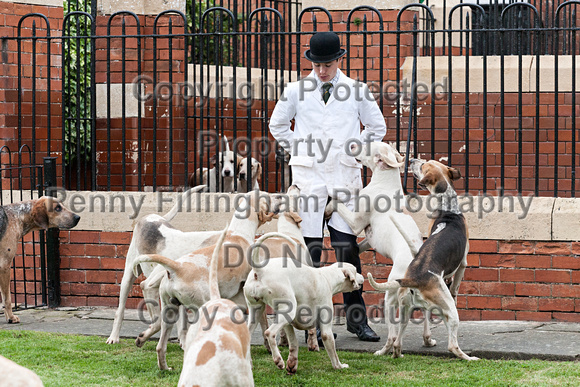 Grove_and_Rufford_Puppy_Show_18th_June_2016_294