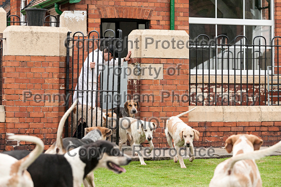 Grove_and_Rufford_Puppy_Show_18th_June_2016_244