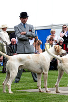Grove_and_Rufford_Puppy_Show_18th_June_2016_019