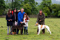 Ecclesfield_Beagles_Terrier_and_Lurcher_Show_Winners_13th_June_2015_003