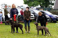 Ecclesfield_Beagles_Terrier_and_Lurcher_Show_Winners_13th_June_2015_011