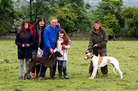 Ecclesfield_Beagles_Terrier_and_Lurcher_Show_Winners_13th_June_2015_004