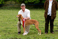 Ecclesfield_Beagles_Terrier_and_Lurcher_Show_Winners_13th_June_2015_015