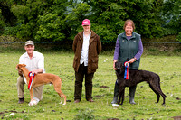Ecclesfield Beagle Hunt Terrier and Lurcher Show, Winners (13th June 2015)
