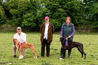 Ecclesfield_Beagles_Terrier_and_Lurcher_Show_Winners_13th_June_2015_012