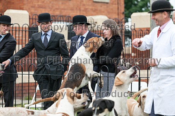 Grove_and_Rufford_Puppy_Show_18th_June_2016_256