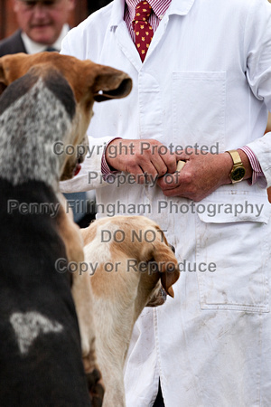 Grove_and_Rufford_Puppy_Show_18th_June_2016_242