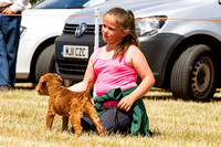 Grove_and_Rufford_Show_Terriers_18th_July_2015_005