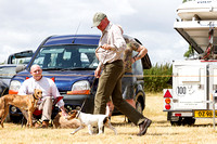 Grove_and_Rufford_Show_Terriers_18th_July_2015_013