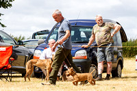 Grove_and_Rufford_Show_Terriers_18th_July_2015_019