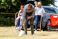 Grove_and_Rufford_Show_Terriers_18th_July_2015_007