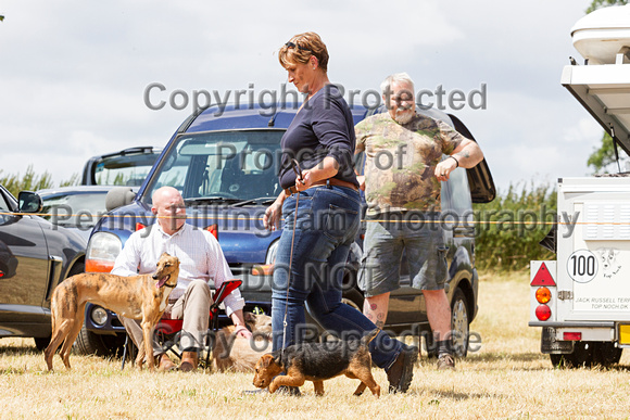 Grove_and_Rufford_Show_Terriers_18th_July_2015_015