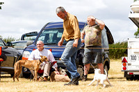 Grove_and_Rufford_Show_Terriers_18th_July_2015_017