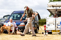 Grove_and_Rufford_Show_Terriers_18th_July_2015_020