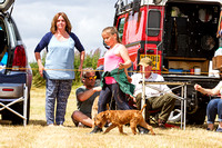 Grove_and_Rufford_Show_Terriers_18th_July_2015_008