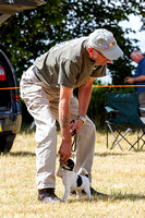 Grove_and_Rufford_Show_Terriers_18th_July_2015_006