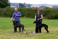 Grove_and_Rufford_Show_Winners_19th_July_2014.003
