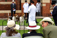 Grove_and_Rufford_Puppy_Show_14th_June_2014.020