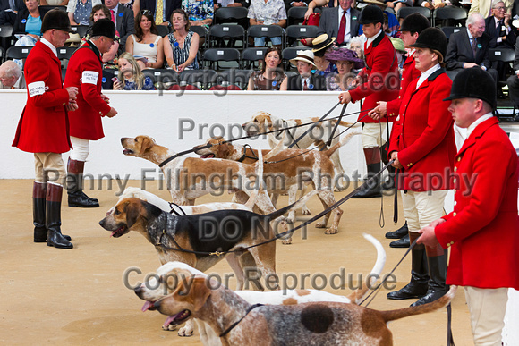 Festival_of_Hunting_Peterborough_16th_July_2014.075