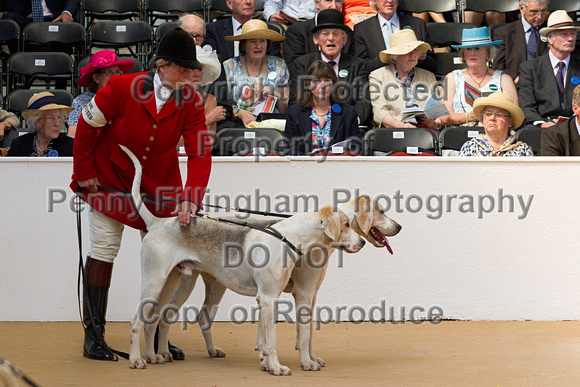 Festival_of_Hunting_Peterborough_16th_July_2014.045