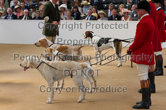 Festival_of_Hunting_Peterborough_16th_July_2014.135