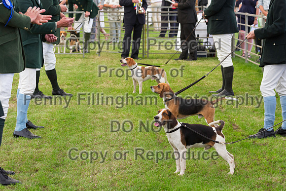 Festival_of_Hunting_Peterborough_16th_July_2014.067
